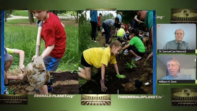 Pollinator Poster Child: Monarch Butterfly Wings Its Way into STEM - STEAM Curricula Lesson Plans