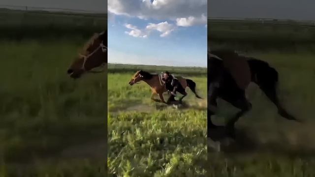 Вот что такое свобода!