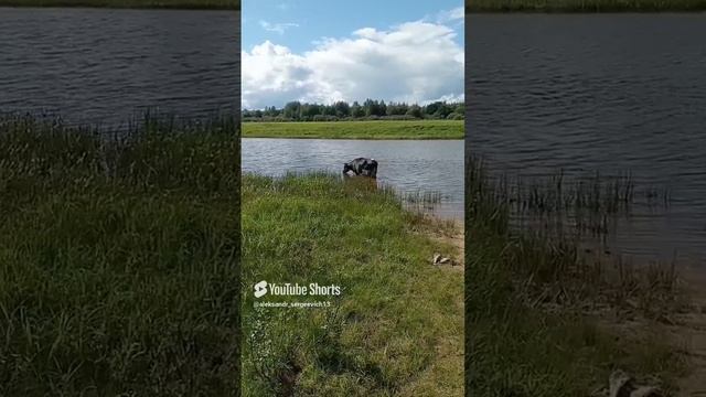 Сейчас и я тоже пойду купаться