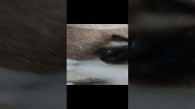 1000004047.mp4
