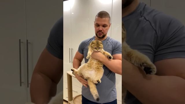 😻Мне 40. Живу с 4-мя котиками.