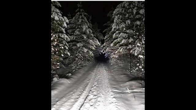 Рассказ  "Леший"