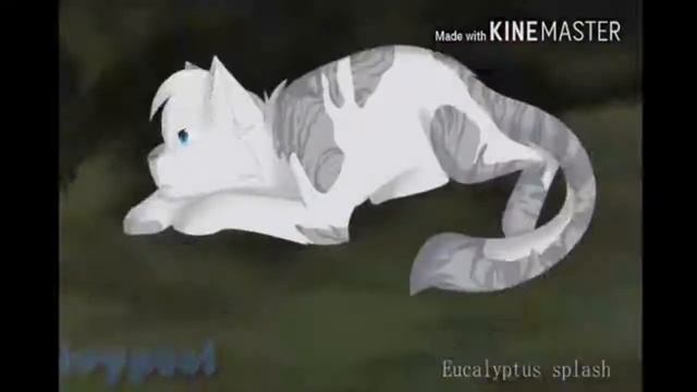 GYGO - Panda, Катя Адушкина - Зажигай Коты-воители нарезка 2