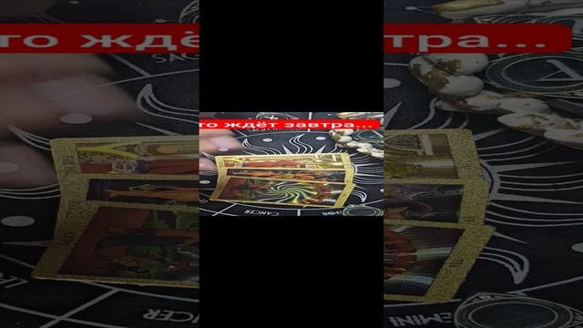1000055272.mp4