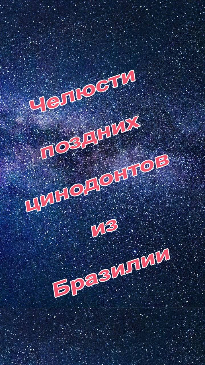 Челюсти предков млекопитающих из Бразилии