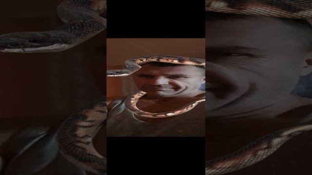 Змея,,, на голове