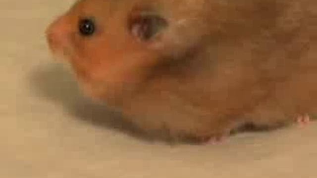 1000024488.mp4