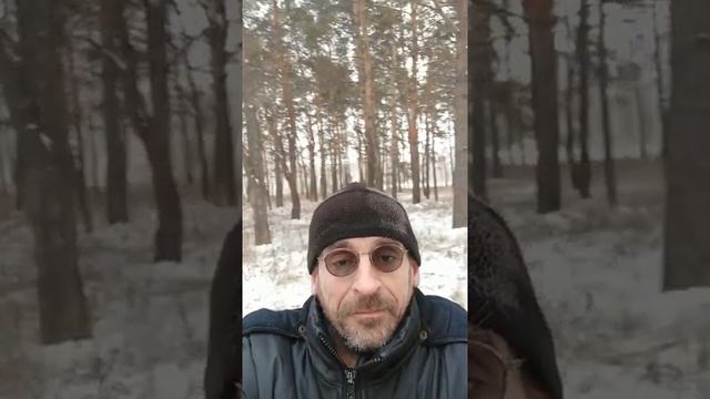 Сосновый бор в Берлинке  Омск  Ноябрь 2021