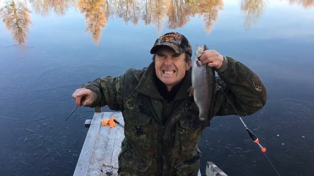 Area trout fishing, в прилове щука. Платный водоём
