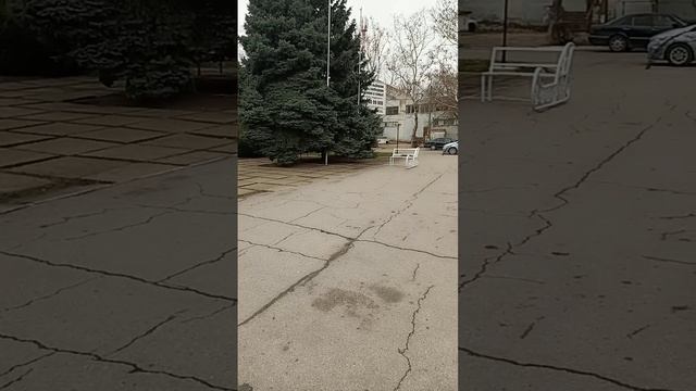 1002629172.mp4