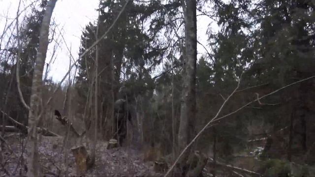 В ПОИСКАХ ЛАЗА, КУДА ПОСТАВИТЬ КАПКАН|ТЕБЯ ЗАСОСЁТ БОБЁР! ГЛАЗАМИ ОХОТНИКА|чай у костра
