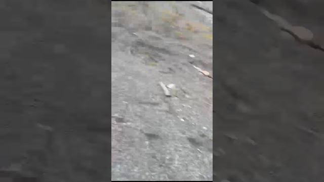 1000165266.mp4