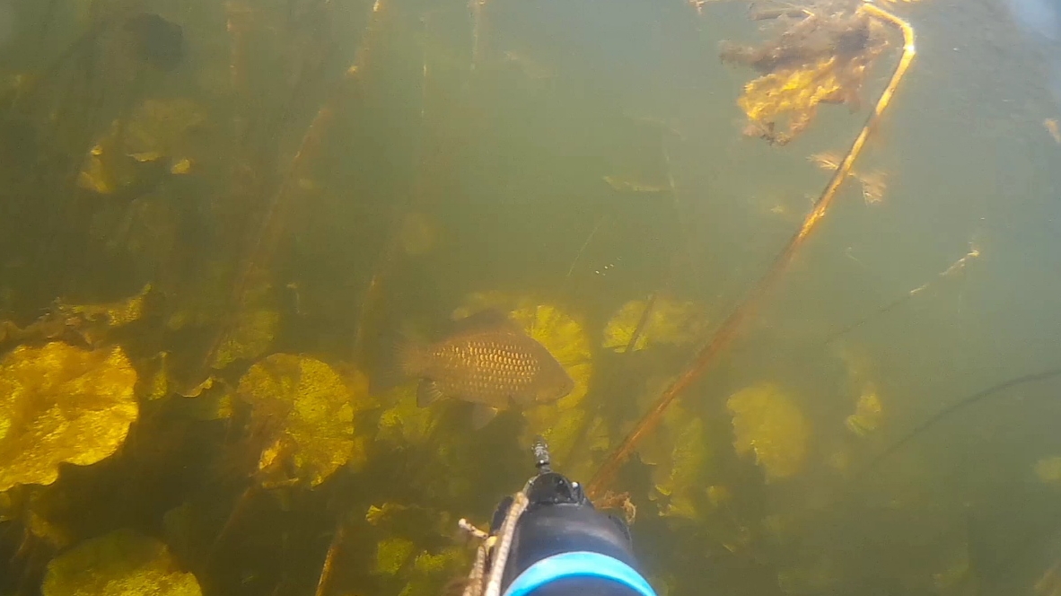 Отличный экземпляр 🐟💥💥💥