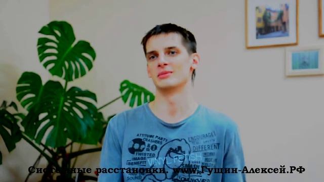 Системные расстановки. Гущин Алексей