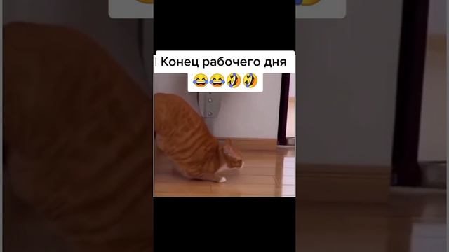 Конец рабочего дня😆