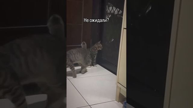 Обычный сбой в матрице
