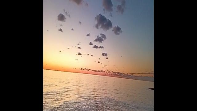 Вечер. Адлер 2024.Конец ноября
