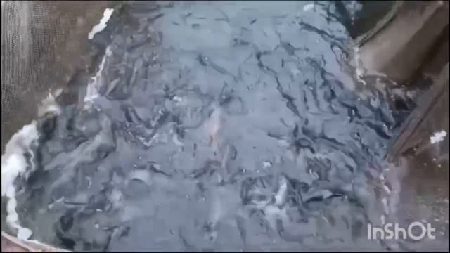 1000039424.mp4