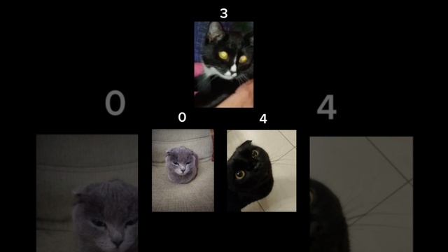 1000016223.mp4