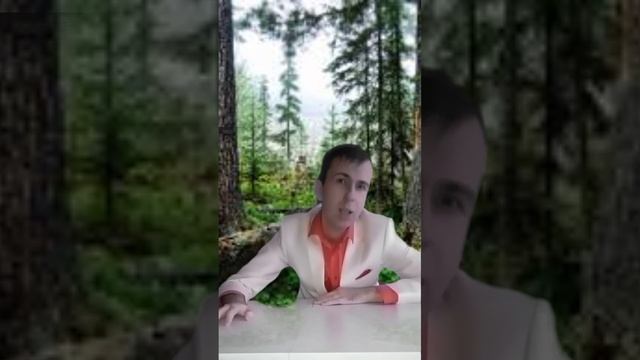 Мэр леса | Часть 1