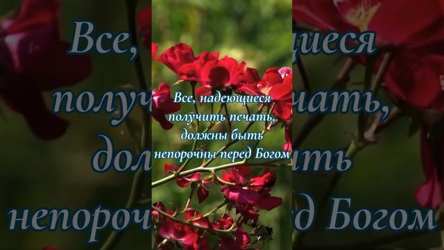 Страшная торжественность времени | Эллен Уайт о Боге, спасении, вечности