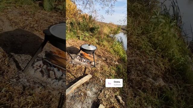 1001053317.mp4
