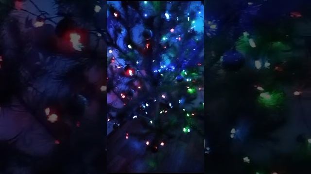 1000021361.mp4
