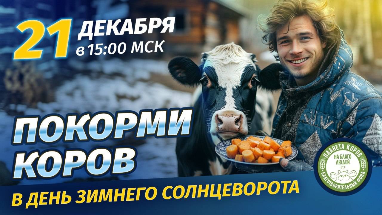 Кормление коров онлайн 21 декабря 2024 г. в день Зимнего Солнцестояния, Планета коров