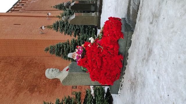 Цветы товарищу Сталину на день его рождения 21.12.2024