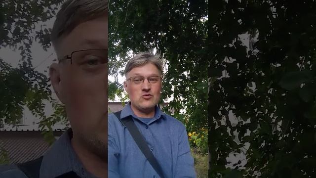 Одни дачники помогают товариществу, а другие критикуют и завидуют.