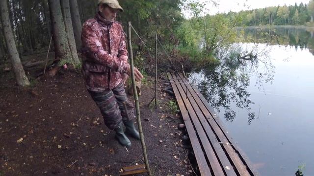 ЛЕЩ НА РЕЗИНКУ к нам пришел МЕДВЕДЬ! ПЕРВЫЙ ПРИКОРМ
