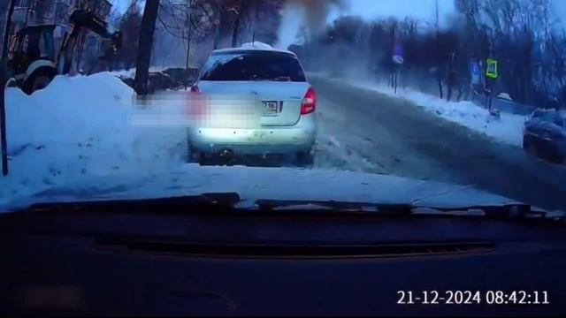 Казань_ Потеряв ориентир (или ориентацию) одна из чубо-мух плюхнулась посреди улицы