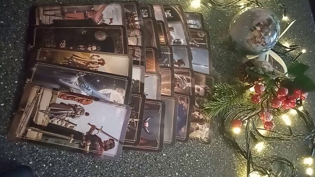 VID_20241221_151753.mp4