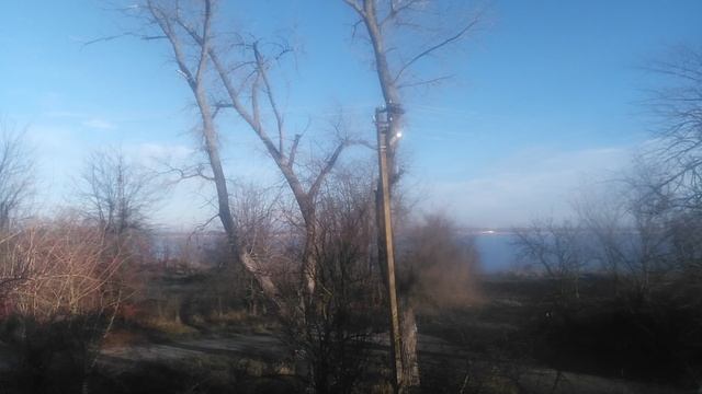 VID_20241221_093733.mp4