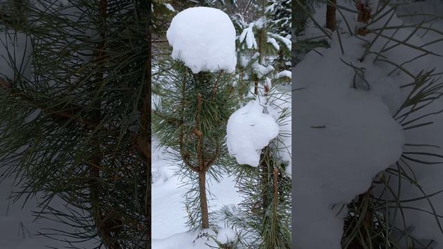 Энергосеанс исцеления носоглотки.