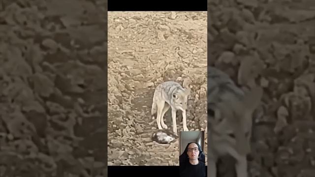 Не сломлен