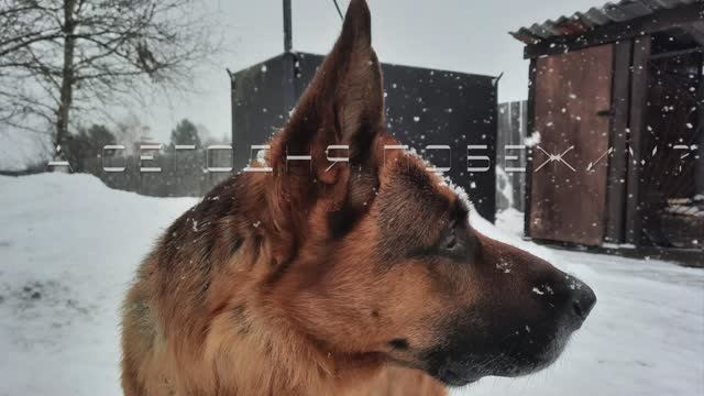 Марафон «долина Иркута».