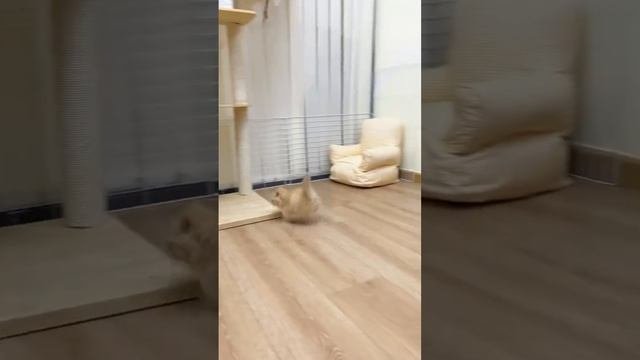 На суете😂