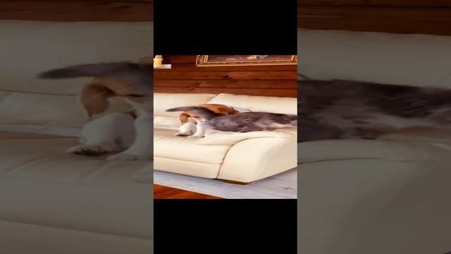 На даче
