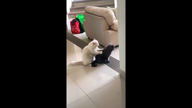 Массаж