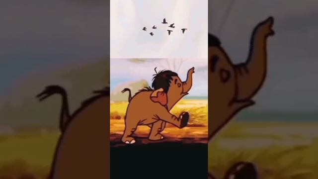 ребята завтра будет видео 🎞️