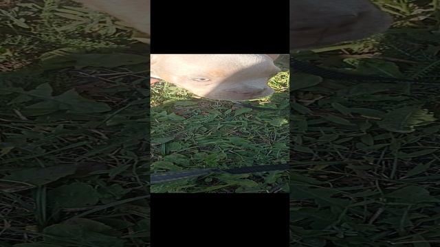 1000031011.mp4