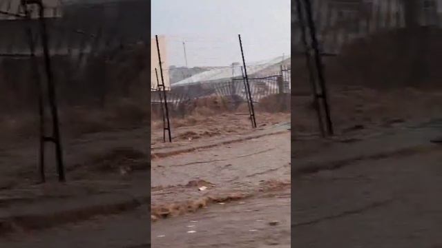 Ливневый паводок в провинции Гаутенг (ЮАР, 21.12.2024).