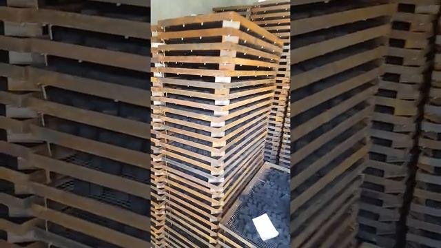 Coconut shell charcoal briquettes factory: inside the factory charcoal oven