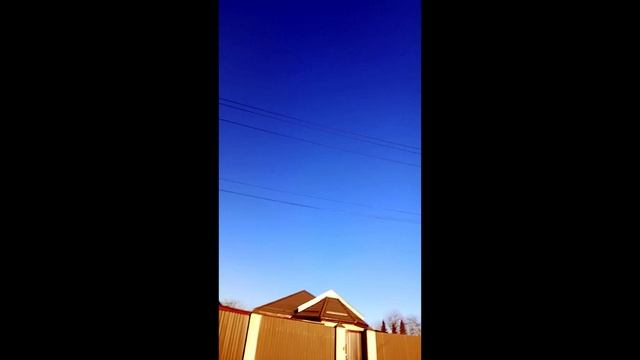 злостный  мухтар!!!!!