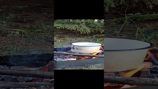 1000034724.mp4