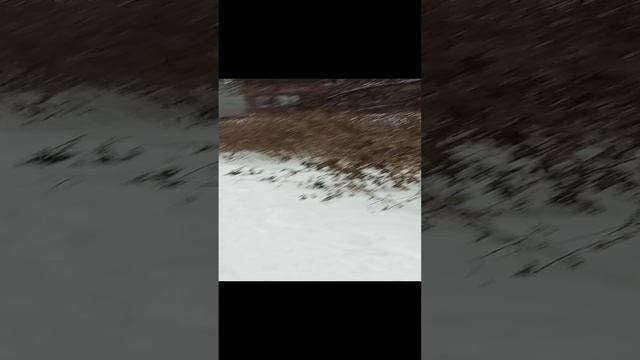 Пострадавшие Пермяки или убитые ВСУ...