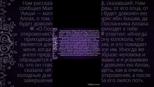 хадис31