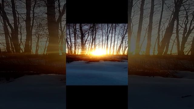 Красота❄️