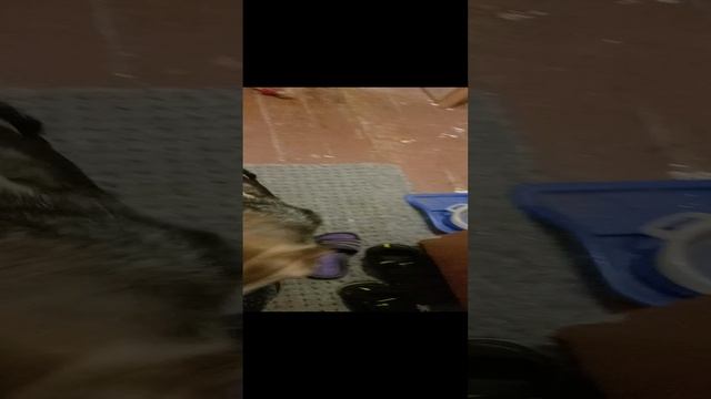 1000109285.mp4
